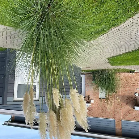Holiday home Deichkieker In Tossens Butjadingen